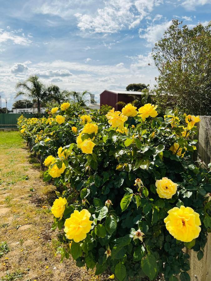 Barossa Gateway Motel Nuriootpa Kültér fotó